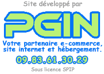 Réalisation PGIN